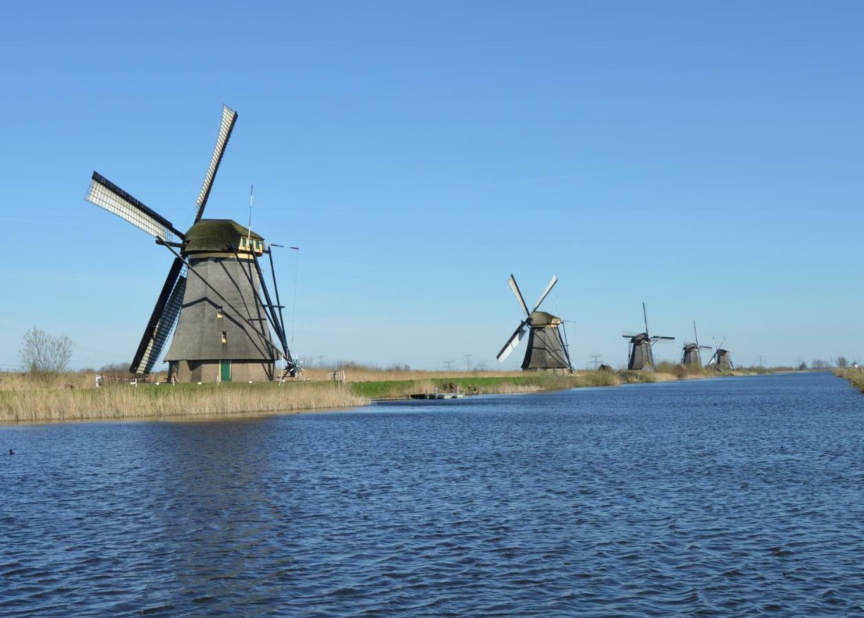 Het Dobbertje, Charmant Houten Huisje Sint Maartensvlotbrug Exterior foto